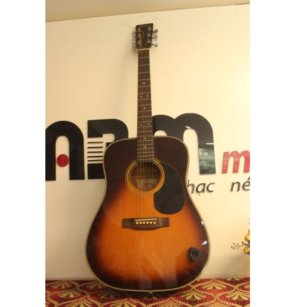 Đàn guitar History HFG-ST-TS